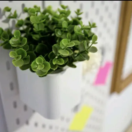 The Greey's House, Telde Appartement