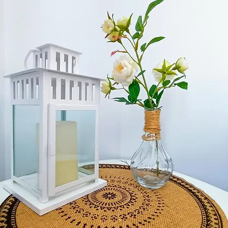 The Greey's House, Telde